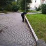 WSynnsGz64w
